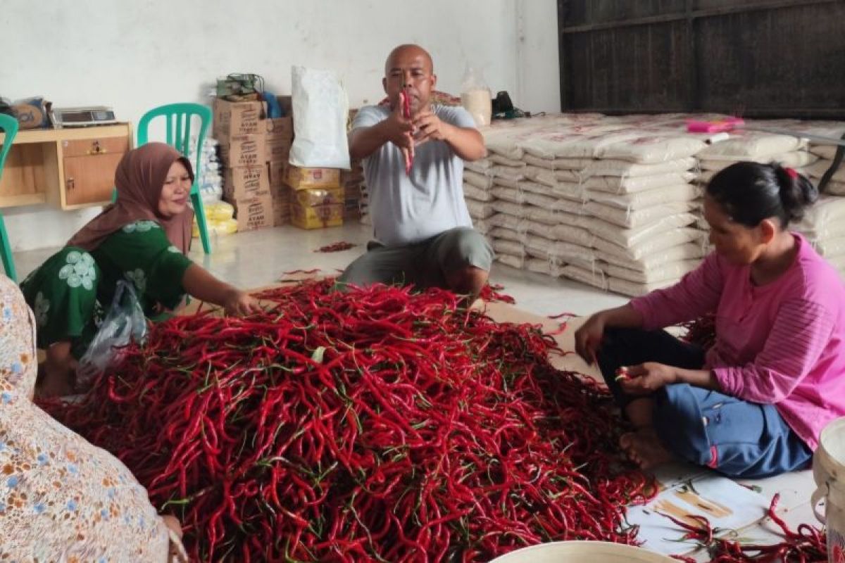 BRI salurkan pembiayaan kepada koperasi penyuplai bahan pangan MBG