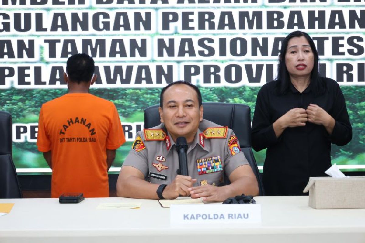 Kapolda Riau angkat dua gajah di Tesso Nilo jadi anaknya