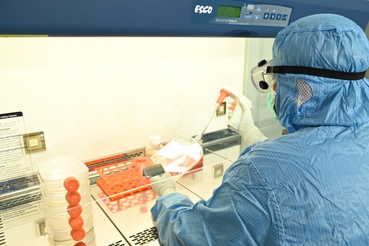 Kimia Farma manfaatkan teknologi stem cell untuk penyakit degeneratif