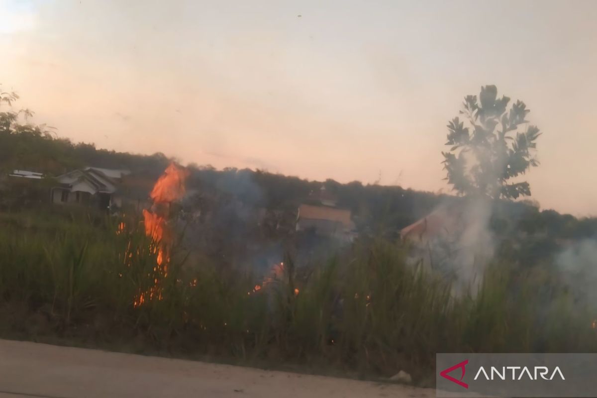 BPBD Muara Enim Sumsel petakan 19 kecamatan rawan karhutla