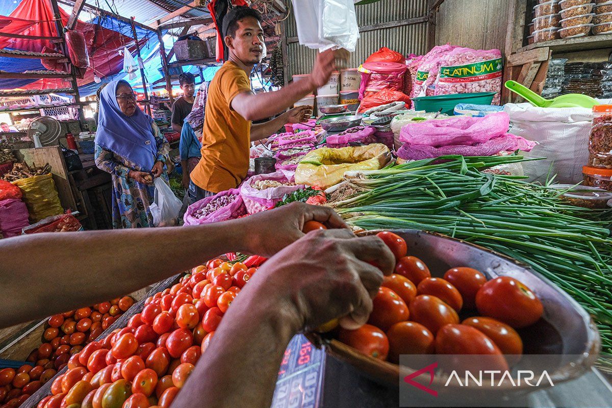 DJPb: Penyaluran KUR di Sultra per Mei 2025 capai Rp1,61 triliun