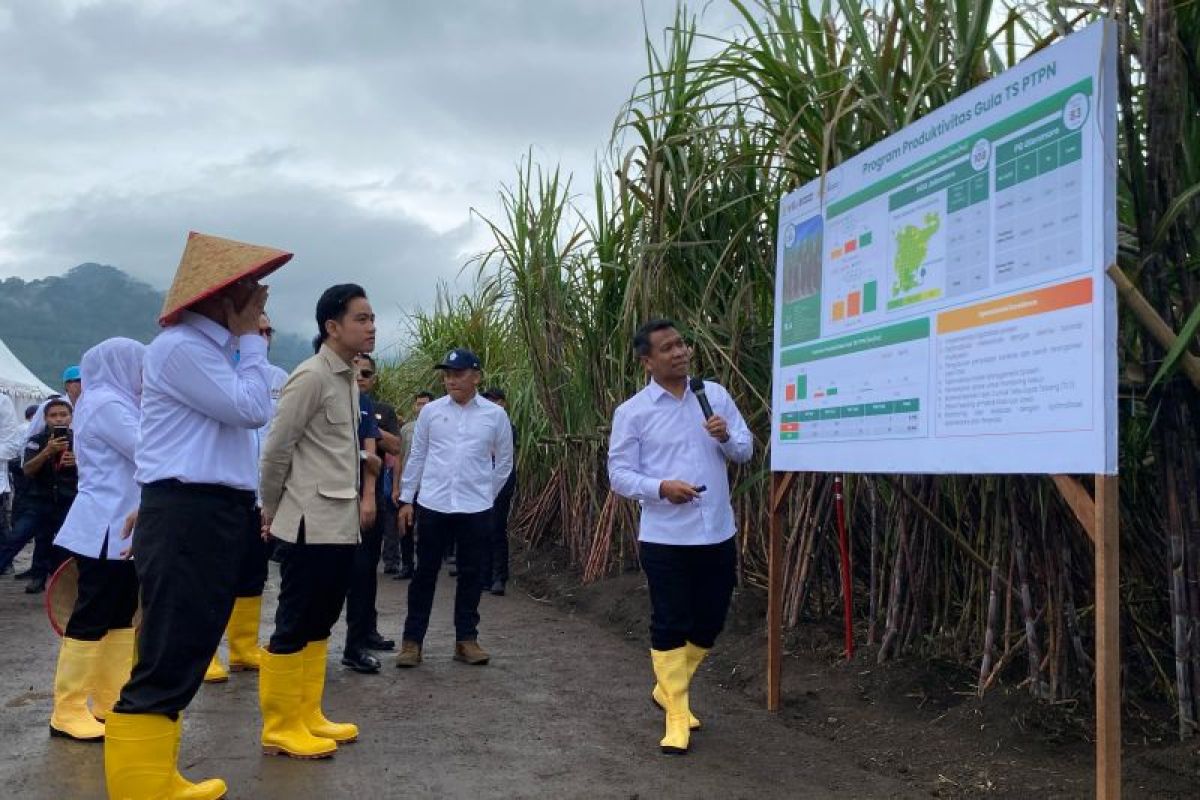 Wapres pastikan pemerintah dukung petani capai swasembada gula nasional