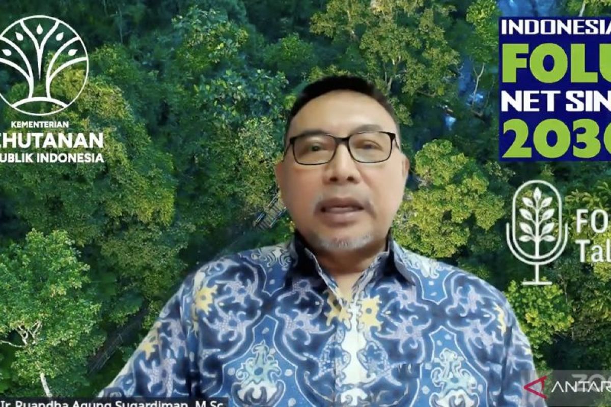 Kaltim pionir implementasi pendanaan iklim RBP