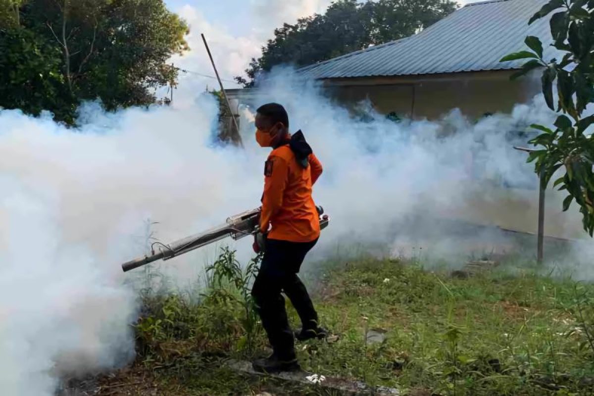 Pemkot Tanjungpinang lakukan pengasapan akibat kasus DBD meningkat
