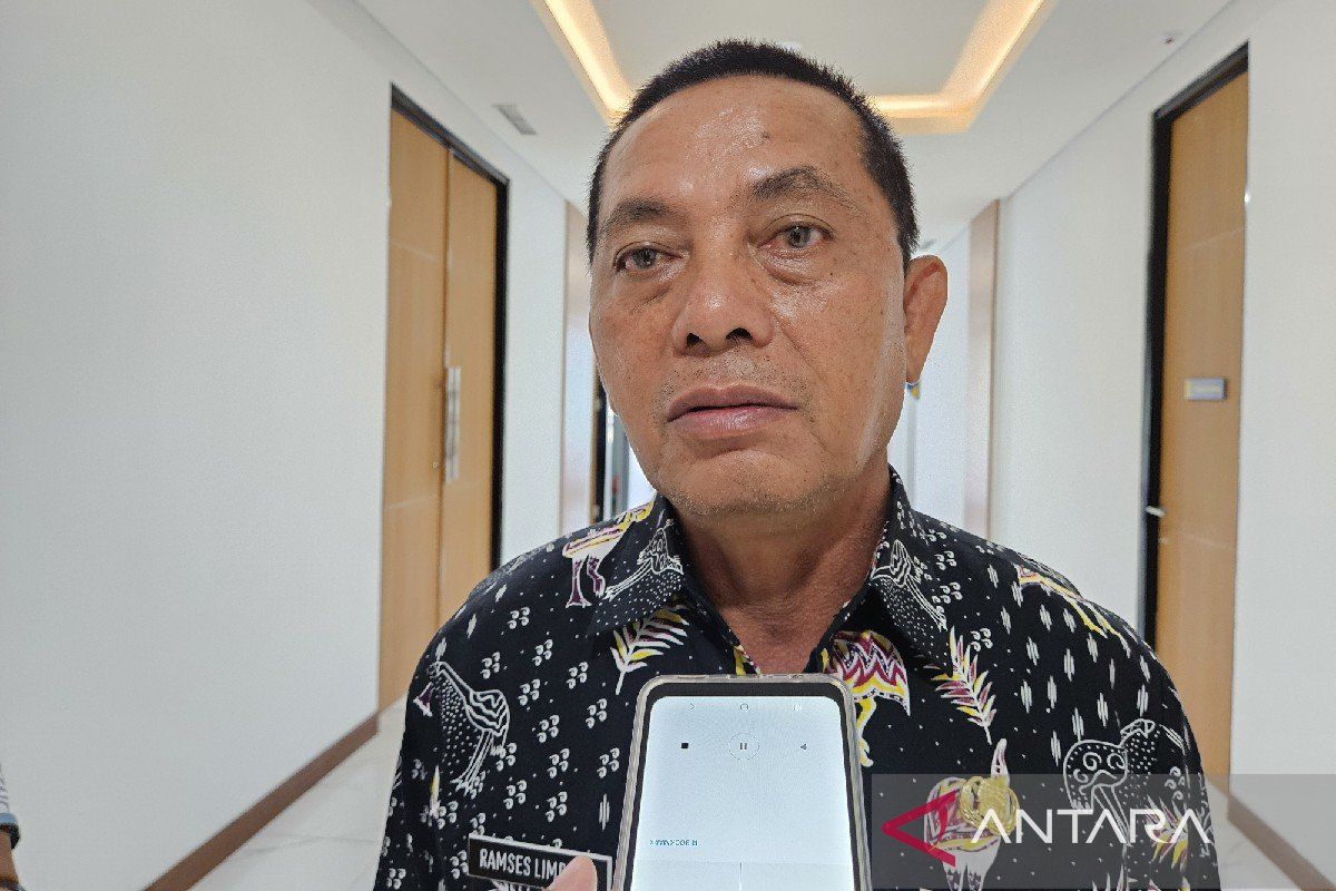 Pemprov Papua targetkan daerah 3T sudah teraliri listrik 2030