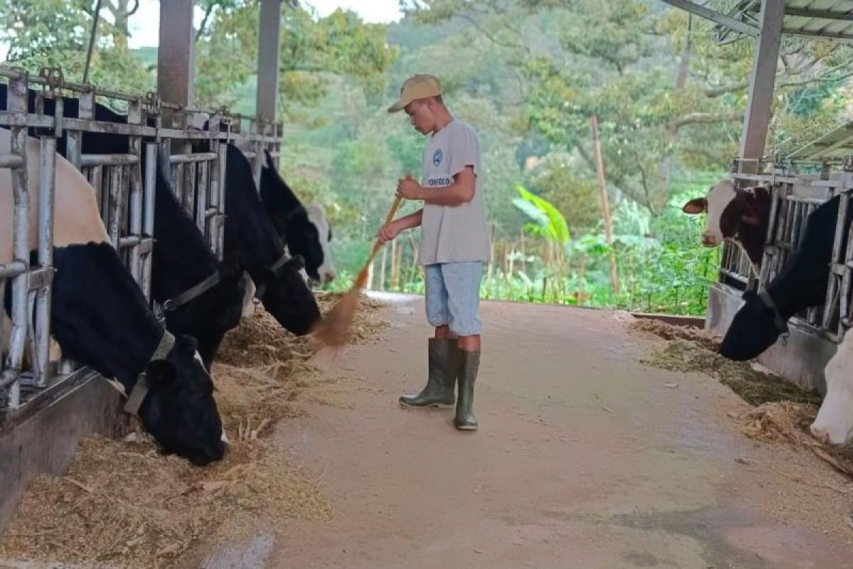 BRI dorong pemberdayaan klaster usaha koperasi susu di Ponorogo