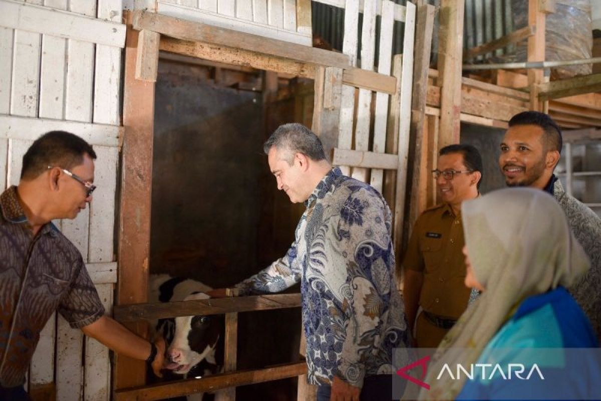 Fonterra tingkatkan program pengembangan susu sapi di Padang Panjang untuk perkuat kapabilitas lokal dan dukung ketahanan pangan nasional