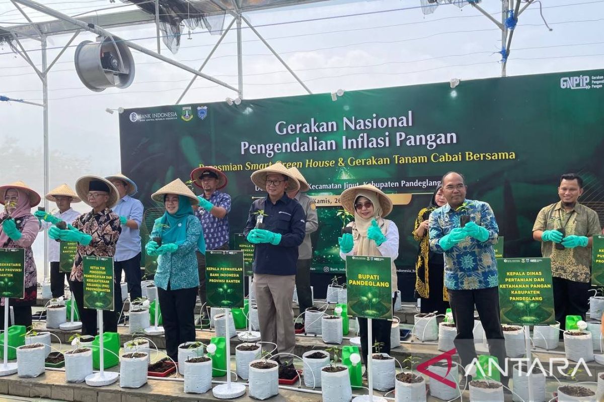 Bank Indonesia Banten fasilitasi petani tanam cabai teknologi digital farming