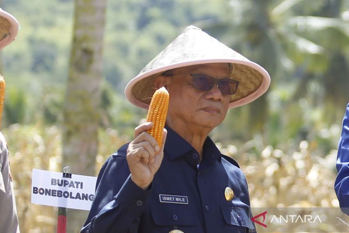 Pemkab Bone Bolango dukung program lumbung pangan Baznas