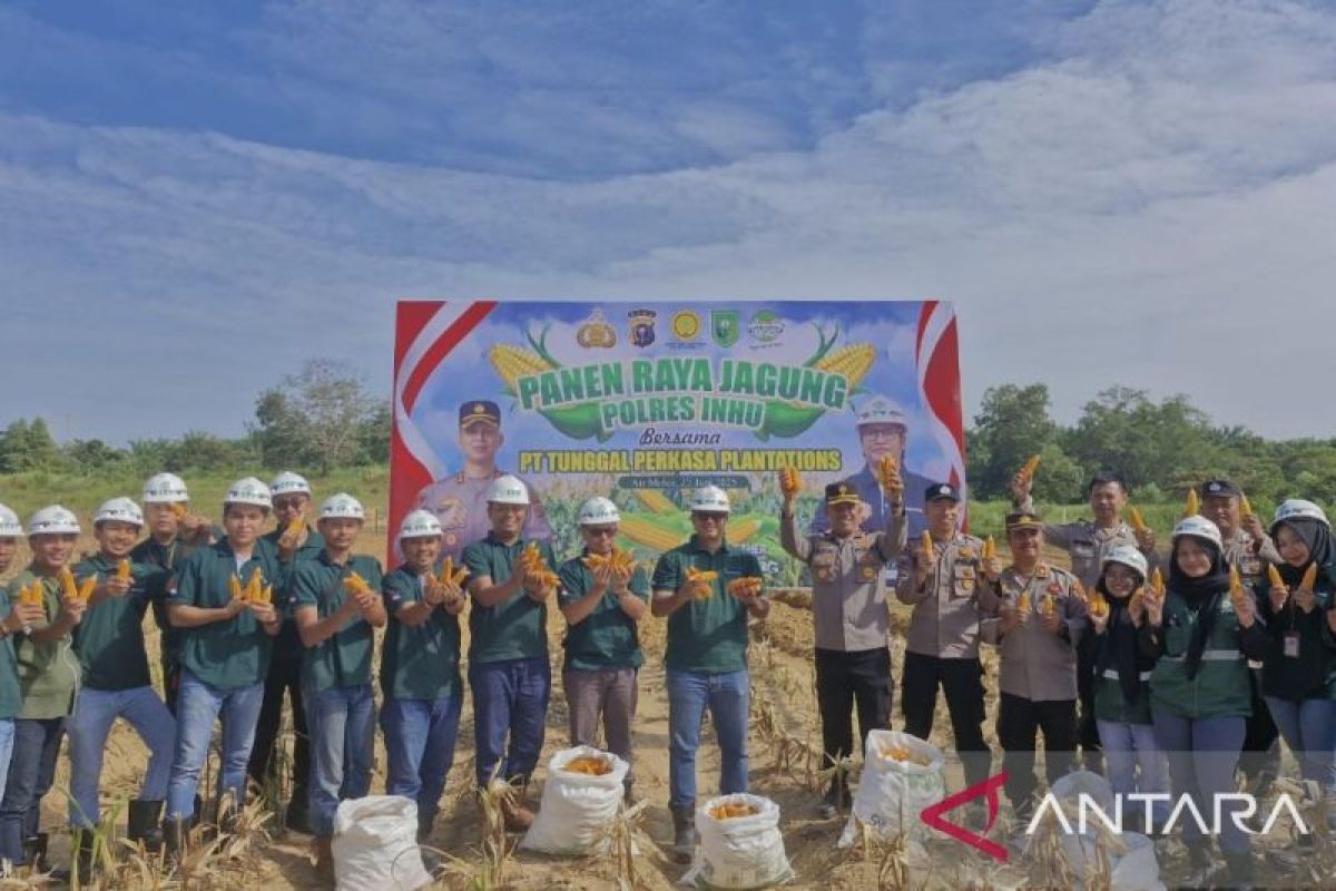 Grup Astra Agro di Inhu Panen Raya Jagung Dukung Ketahanan Pangan