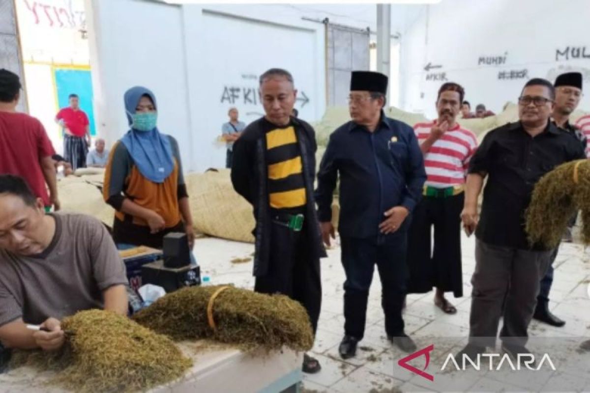 Disperindag Pamekasan bantu terbitkan NIB bagi pelaku usaha tembakau