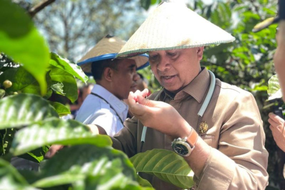 C Sulawesi: Govt to club 3 transmigration areas into economic zone