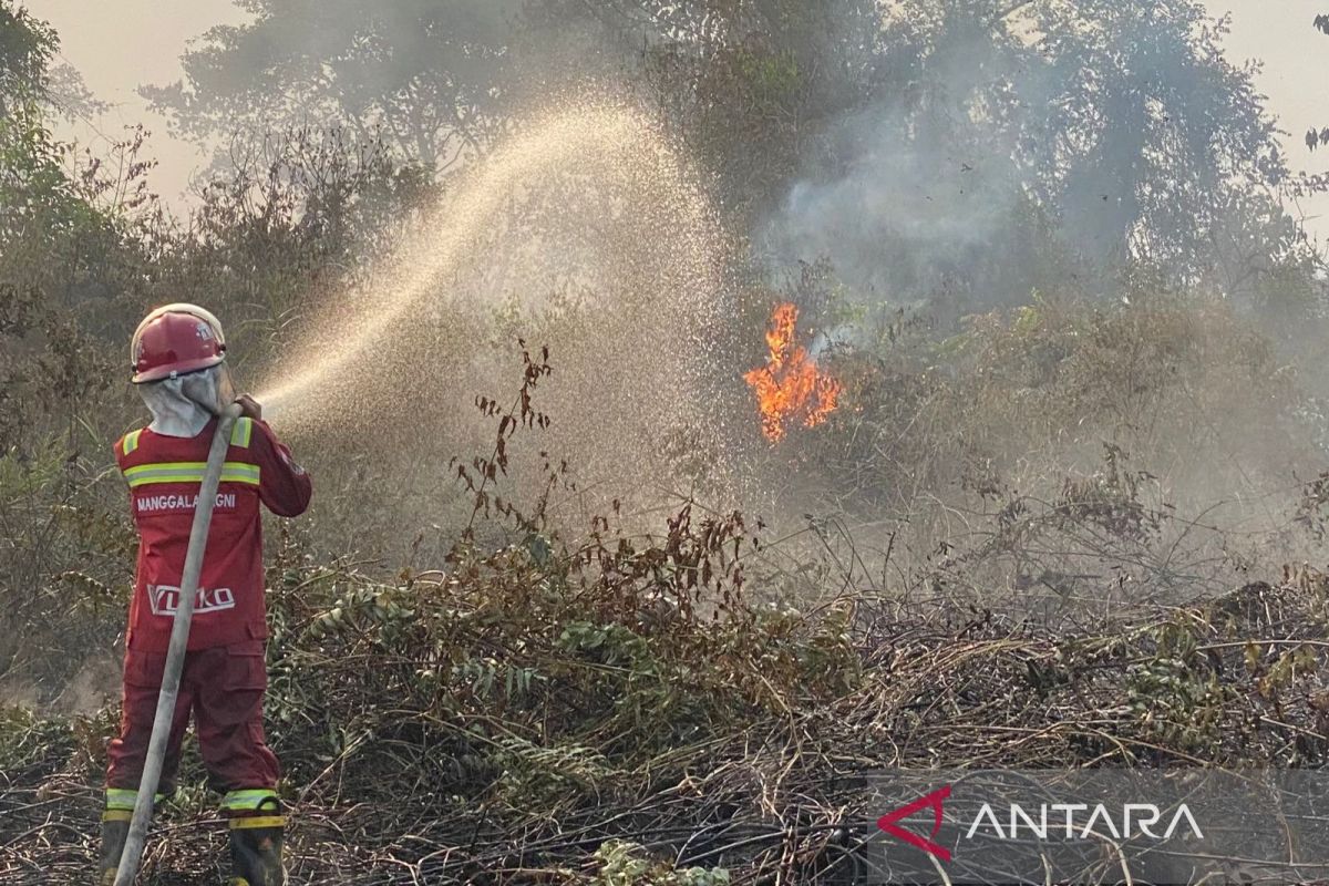 Lahan gambut di Kampar terbakar, luas masih didata