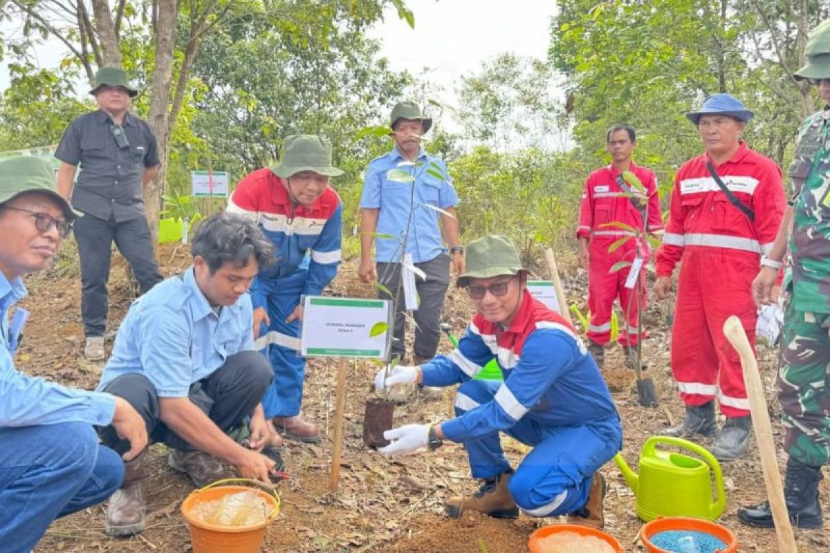 Pertamina EP tanam ribuan pohon di Lintas Jalur Gajah sebagai komitmen pelestarian lingkungan