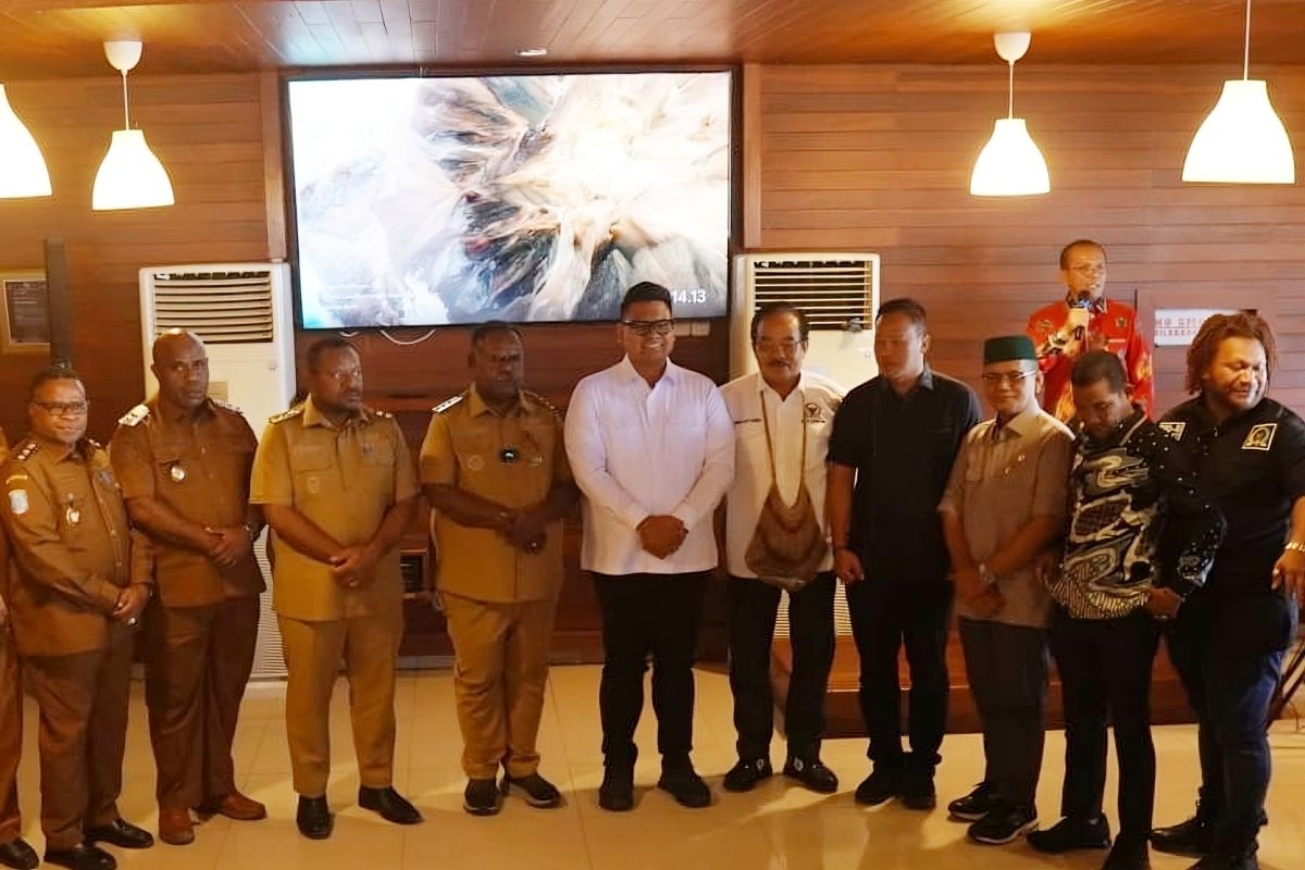 Collaboration key to boosting Southwest Papua's development: MPR