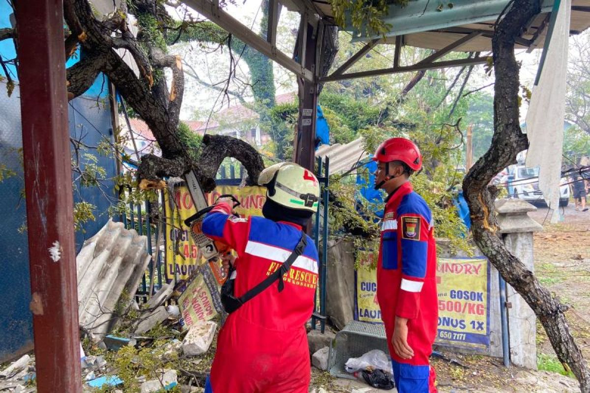 BPBD Tangerang terjunkan tim reaksi cepat untuk tangani pohon tumbang
