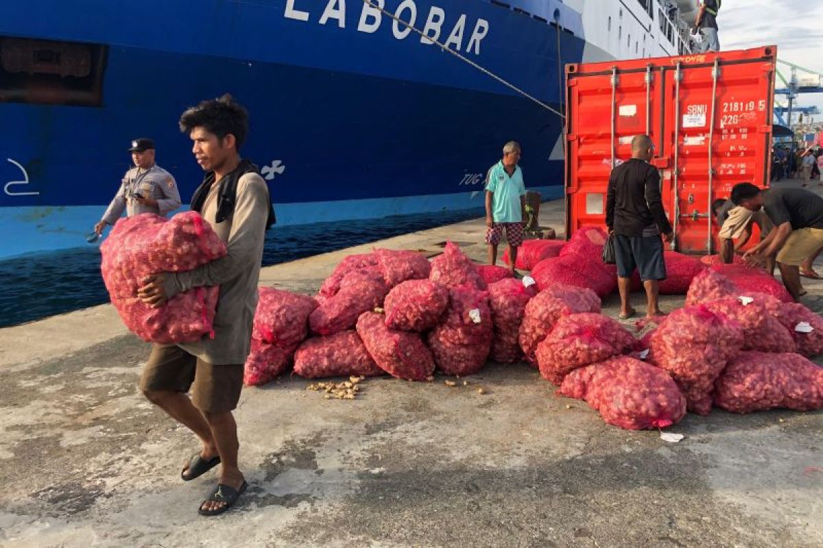 Bongkar muat kontainer di Ambon tembus 42 ribu Teus hingga Mei 2025