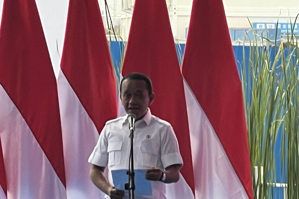 Battery plant in Karawang to power up to 300 thousand cars: Minister