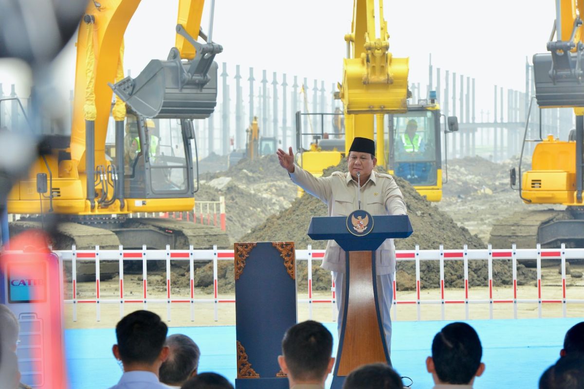 Integrated battery industry project a colossal breakthrough: President