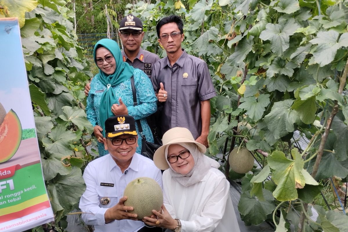 Kalsel kemarin dari  ketahanan pangan hingga gerakan Ayah Teladan