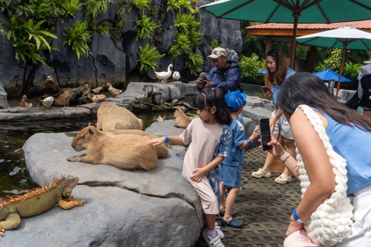 Bali Safari siap hadapi lonjakan kunjungan wisatawan saat liburan sekolah