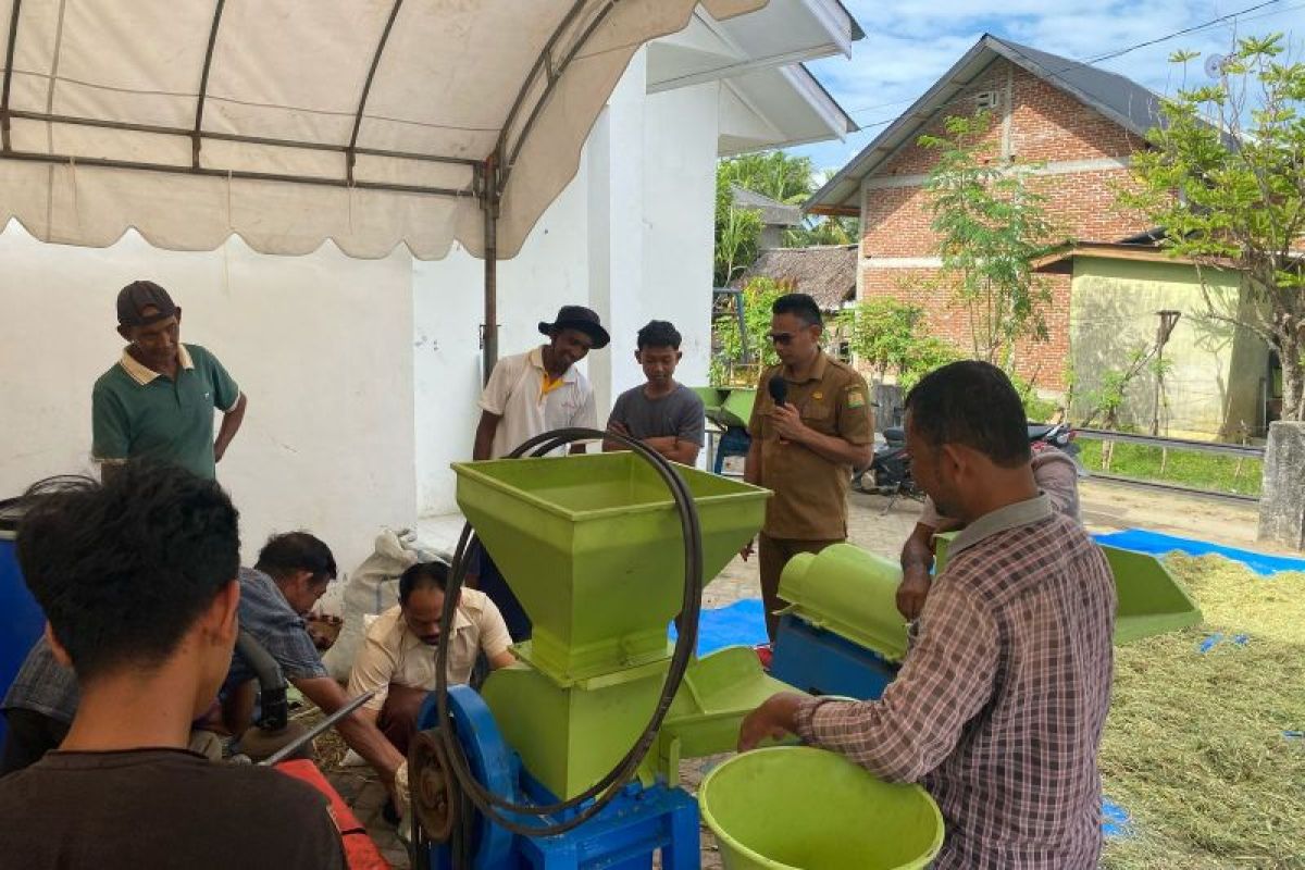 Aceh Besar optimalisasi limbah pertanian tingkatkan populasi ternak