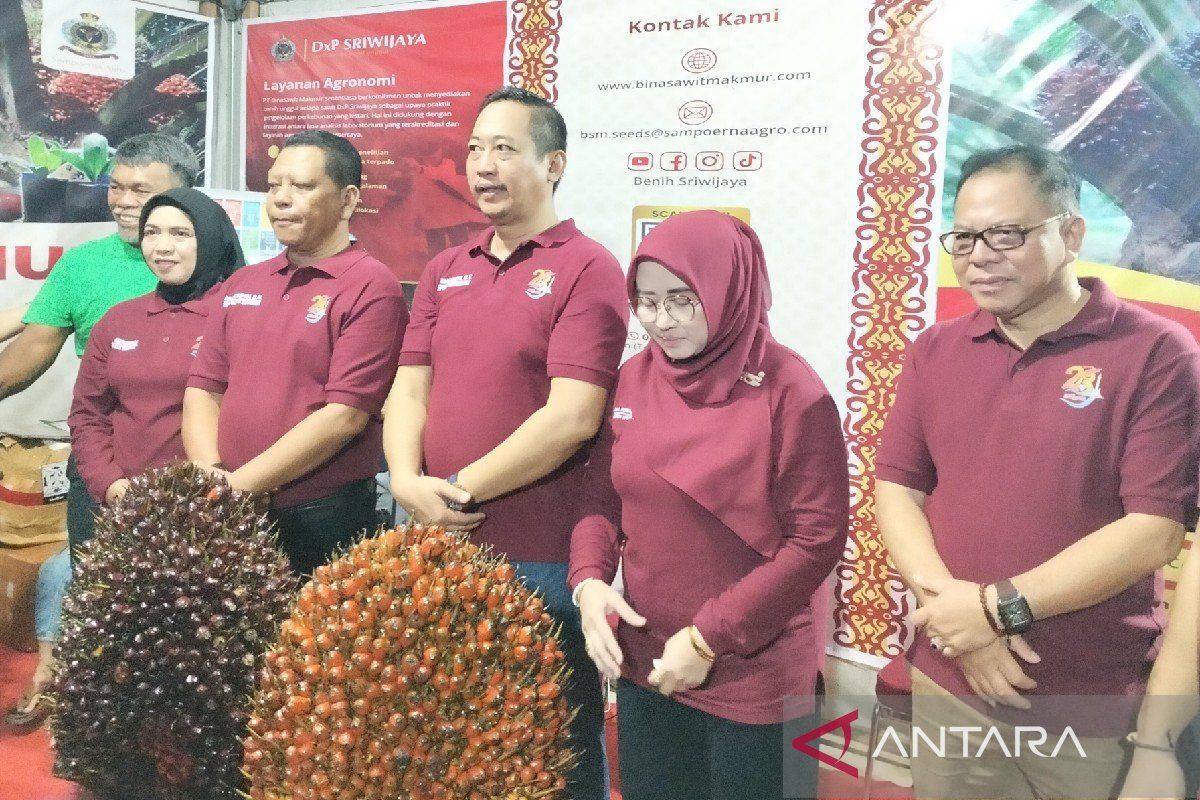 230 pelaku UMKM meriahkan Sukamara Expo 2025