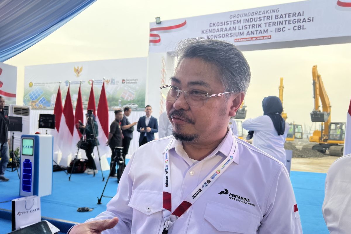 Pertamina NRE interested in Indonesia's nuclear power development