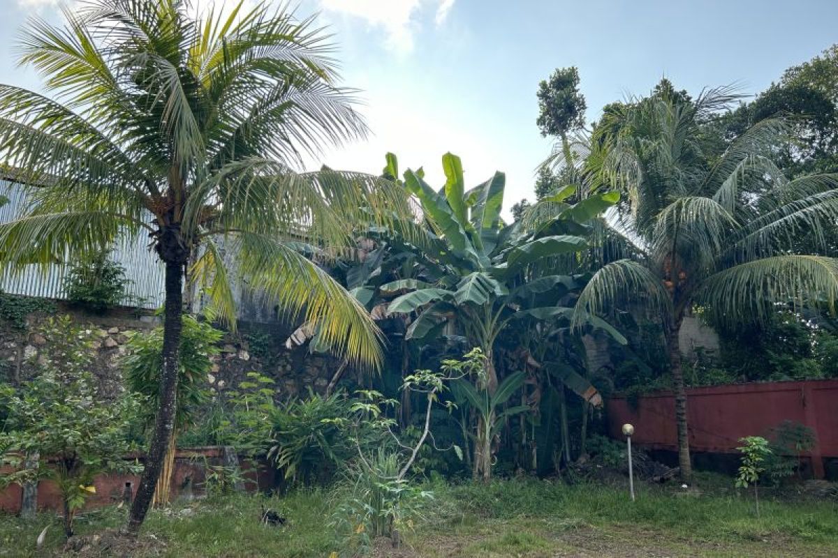 Pemkab Karimun tingkatkan nilai tambah produksi pertanian kelapa