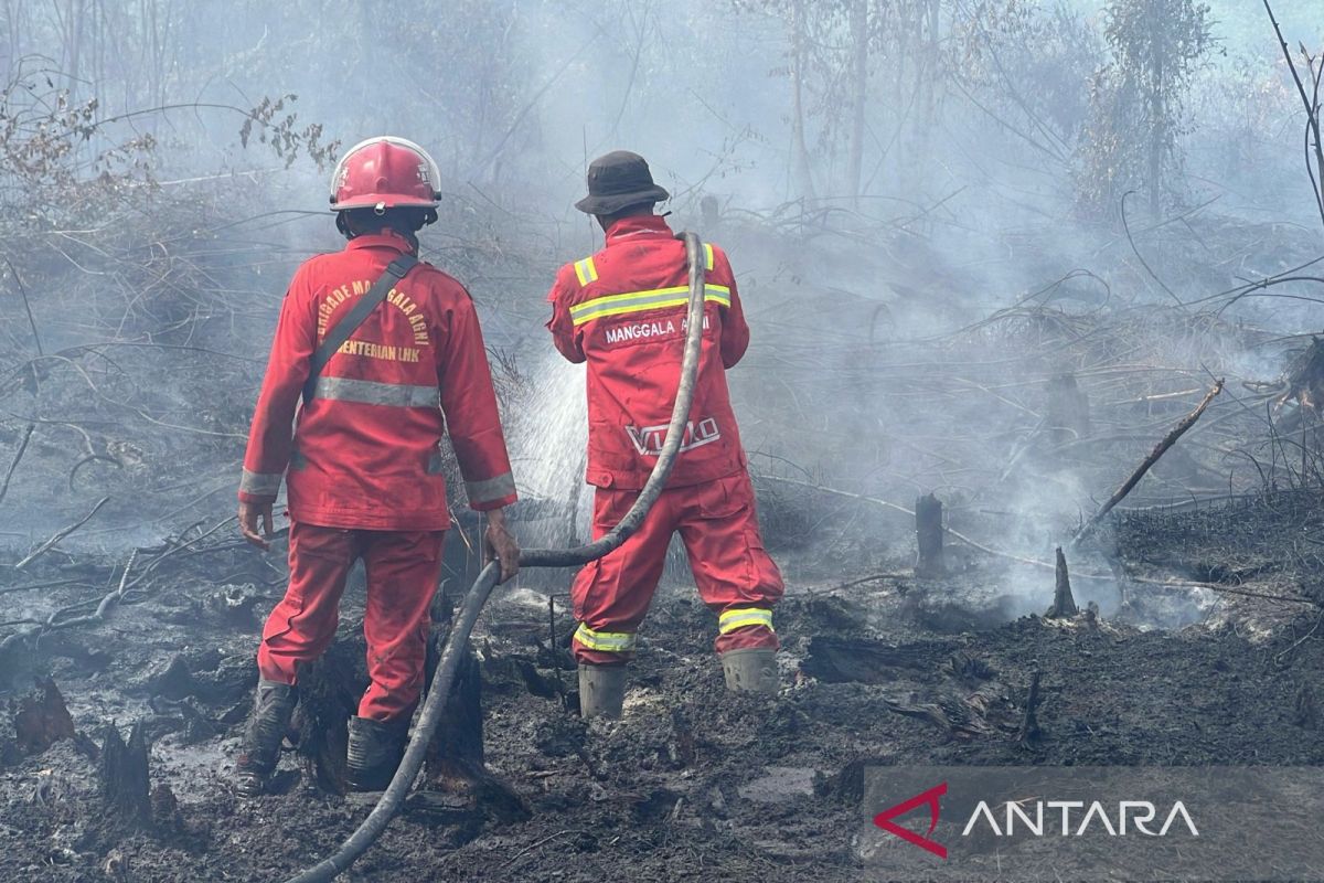 Karhutla di Tapung meluas, sekitar 30 hektare lahan gambut terbakar