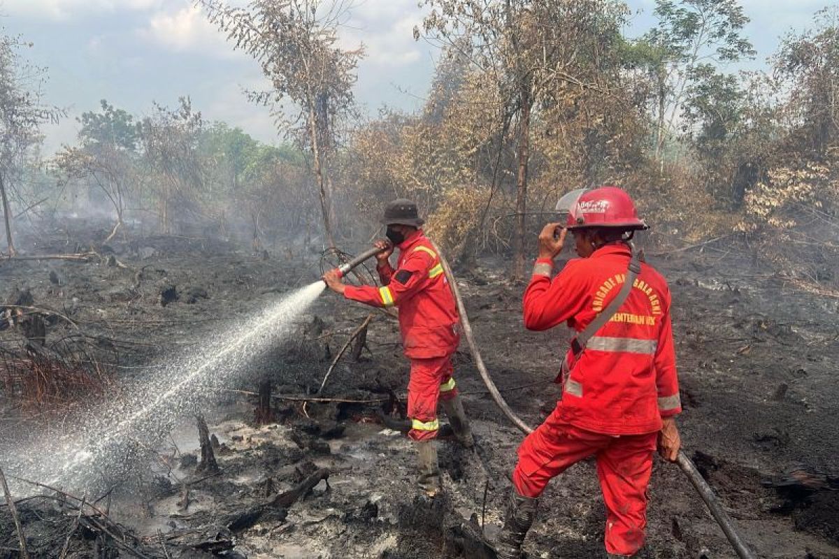 Polres Kampar telusuri dugaan kesengajaan kebakaran lahan di Tapung, 3 orang diperiksa