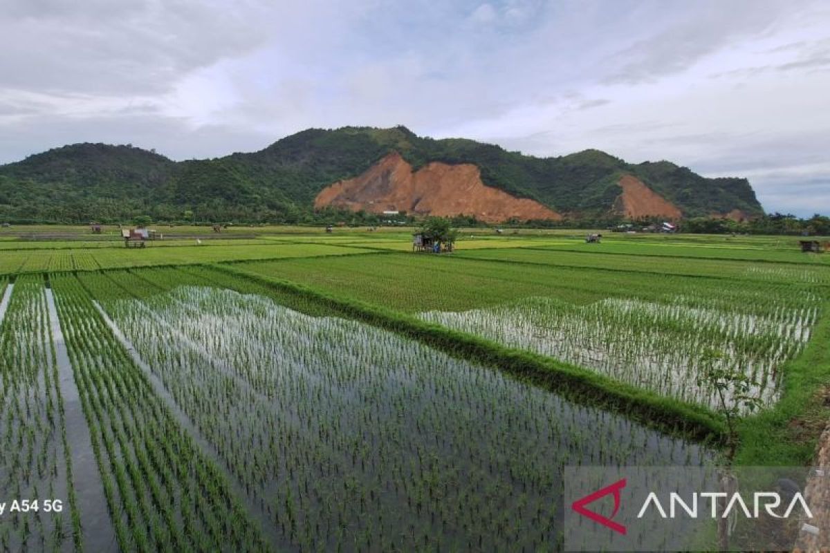 NTP Aceh naik 0,86 persen pada Juni