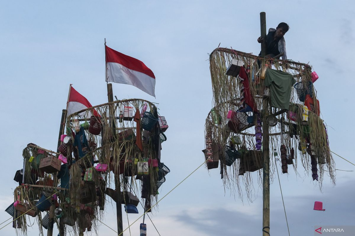 Sejarah panjat pinang yang menjadi ciri khas dalam perayaan HUT RI