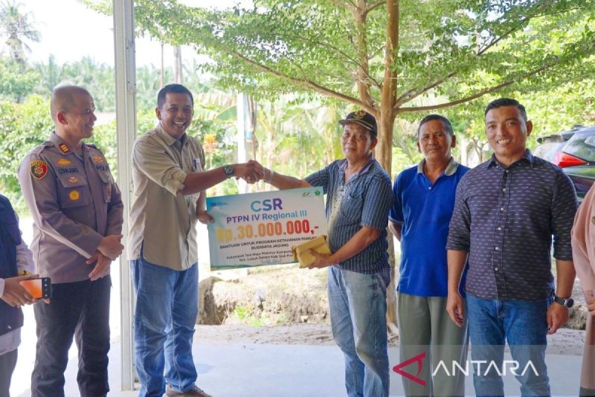 PTPN IV Regional III Rangkul Petani Siak Perkuat Ketahanan Pangan Melalui Budidaya Jagung
