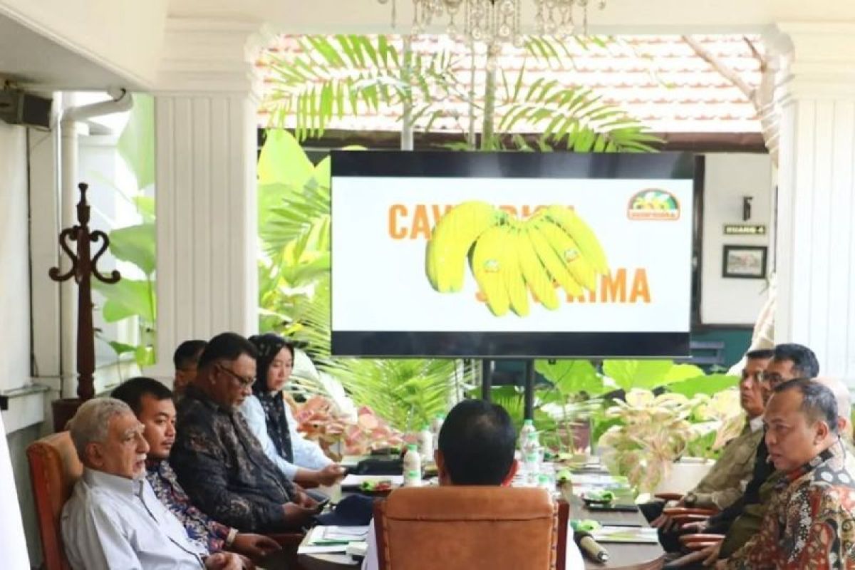 Pemkot Madiun jajaki kolaborasi pertanian modern dengan investor