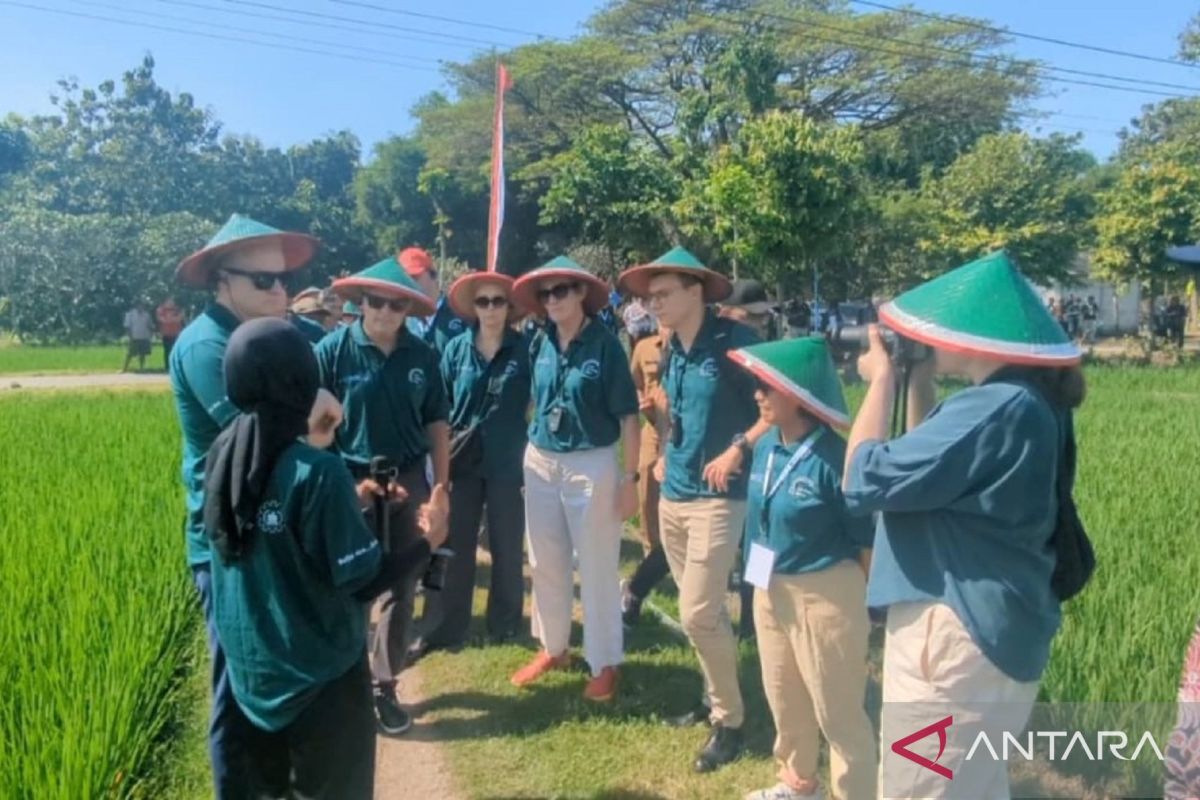 Delegasi Uni Eropa tinjau proyek beras rendah karbon Madiun