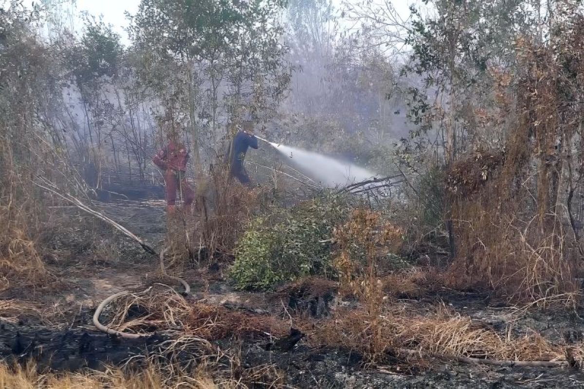Kalsel siapkan langkah strategis hadapi puncak kemarau dan ancaman Karhutla 2025