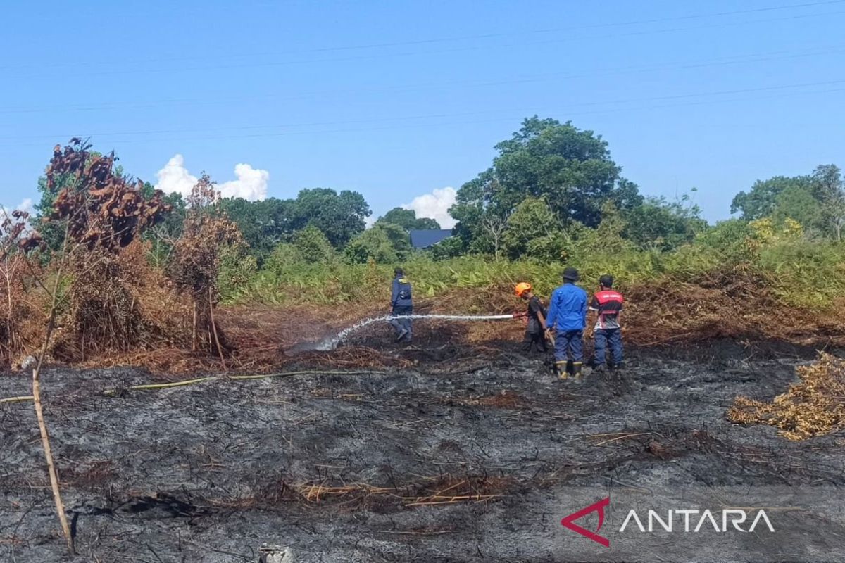 BPBD: Tiga lokasi kebakaran di Aceh Barat lahan berhasil dipadamkan 