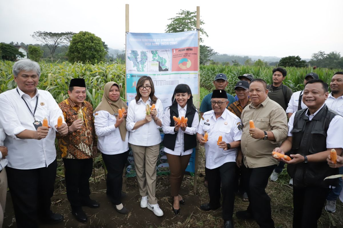 Kementerian ATR dorong kolaborasi dukung ketahanan pangan 