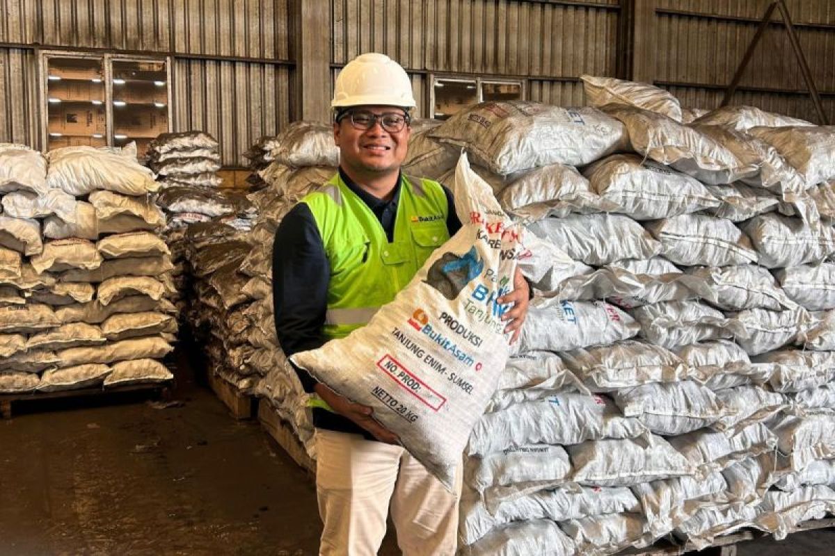 Bukit Asam perkuat hilirisasi batu bara melalui briket sebagai energi alternatif multiguna