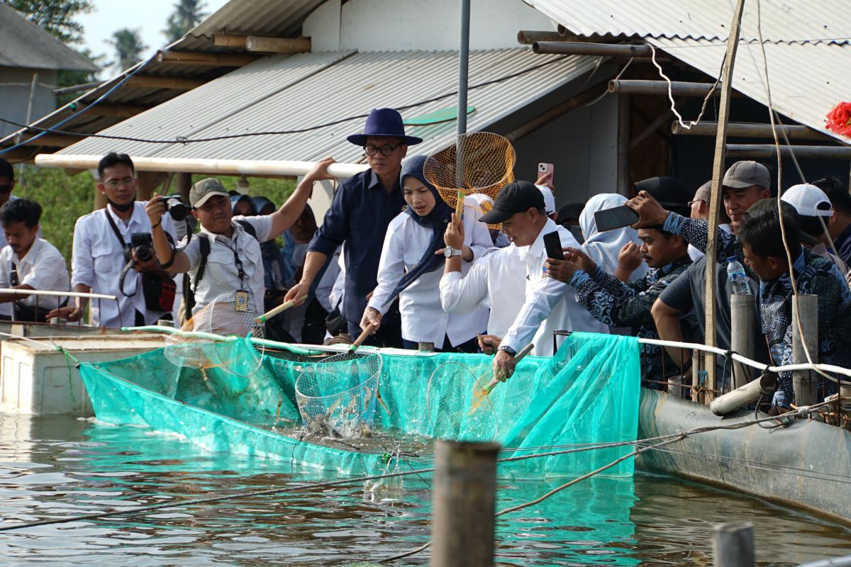 Banten's Serang seeks fishermen’s village status for Domas