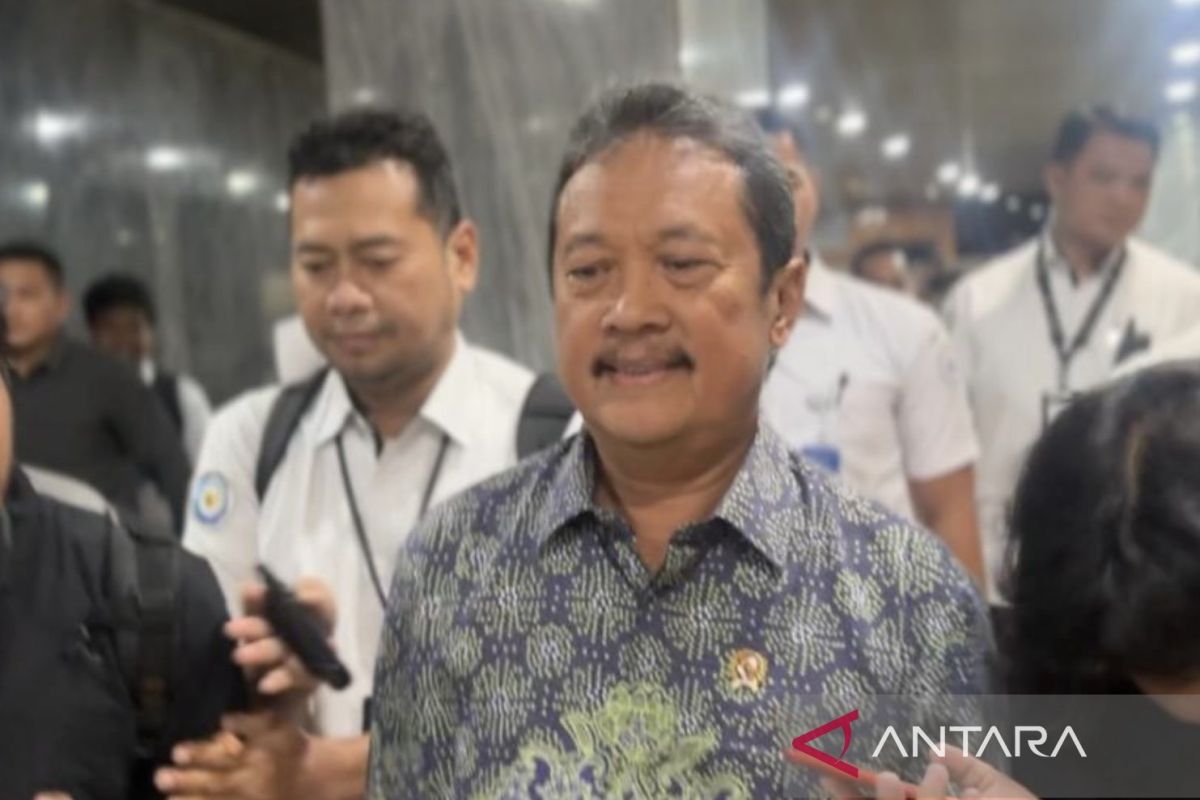 KKP bakal kerja sama dengan Komdigi telusuri penjualan pulau kecil