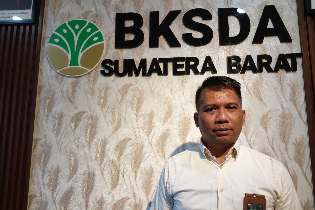Seekor anak harimau sumatra TMSBK Bukittinggi mati karena malanutrisi
