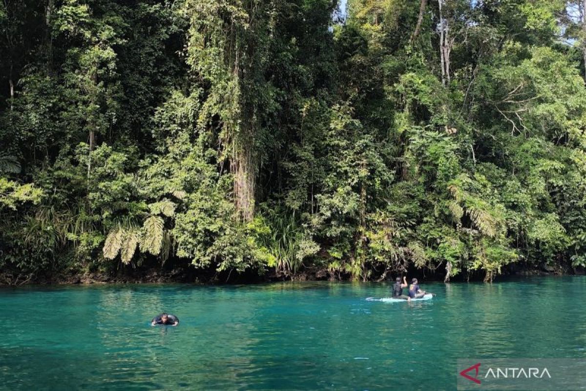 Langkah Berau Kaltim menuju pariwisata berkelanjutan melalui ekowisata