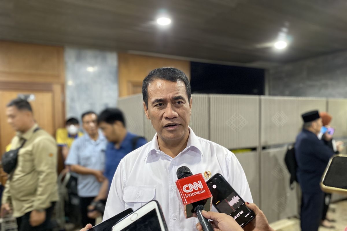 Mentan Amran ungkap beras oplosan beredar di minimarket