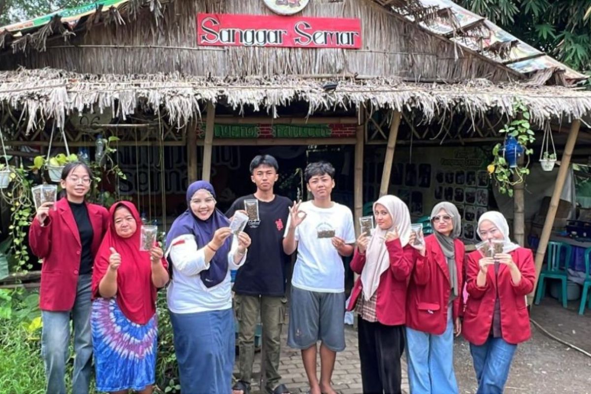 Mahasiswa UMM edukasi warga "sulap" limbah maggot jadi pakan ternak