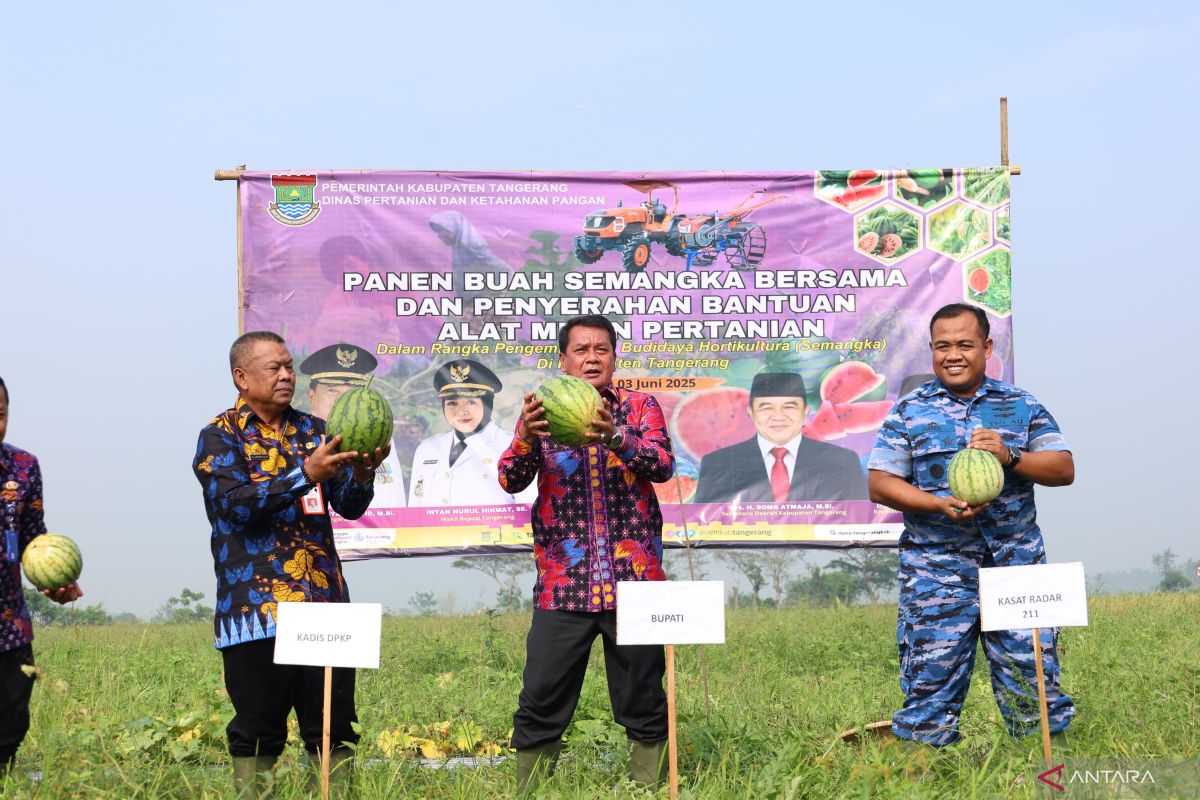Kelompok tani di Tangerang berhasil panen semangka di lahan minim
