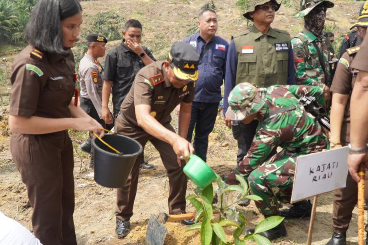 Satgas PKH tumbangkan 311 hektare kebun sawit dalam kawasan Tesso Nilo
