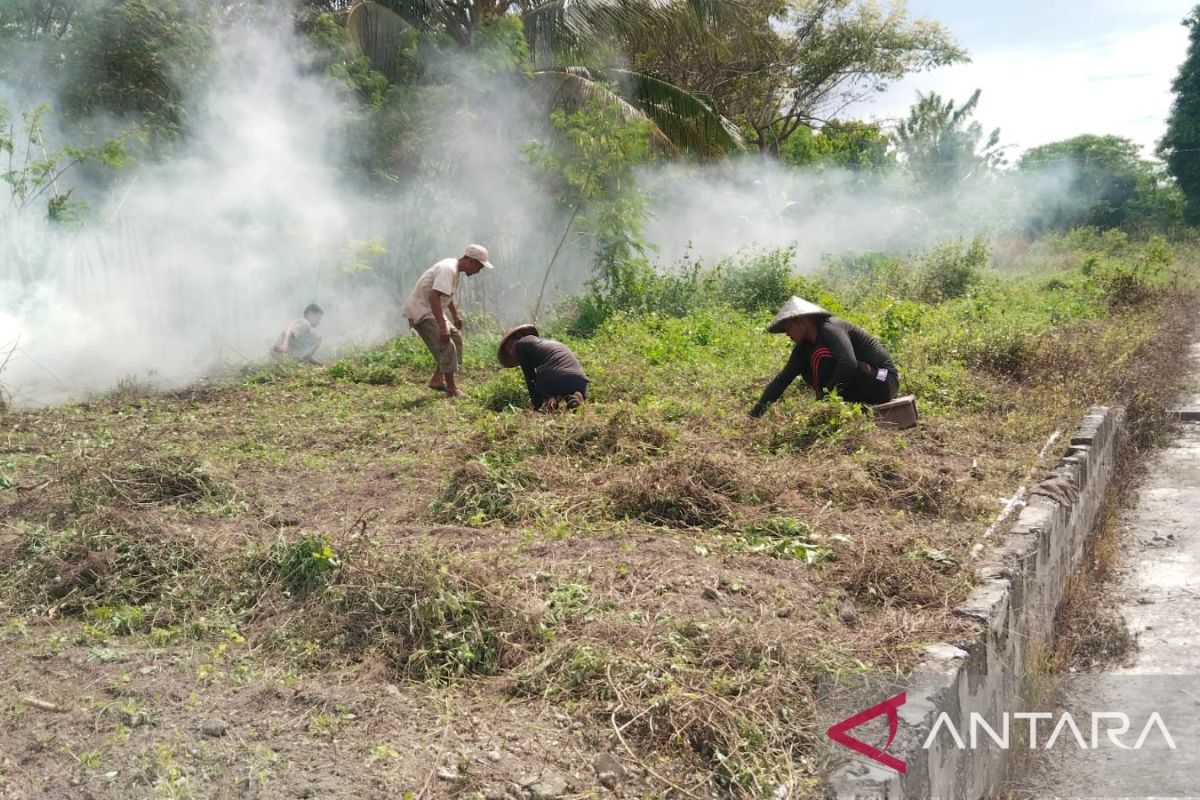 Lapas Buru Maluku siapkan lahan 1.500 meter persegi dukung ketahanan pangan