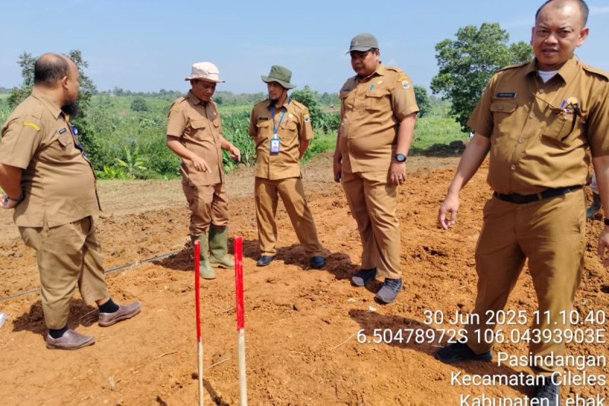 Dukung ketahanan pangan, Pemkab Lebak cetak sawah baru 800 hektare